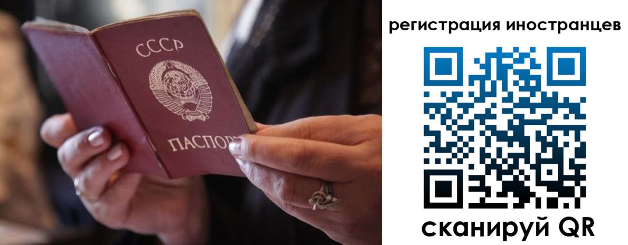 где прописаться в Советске
